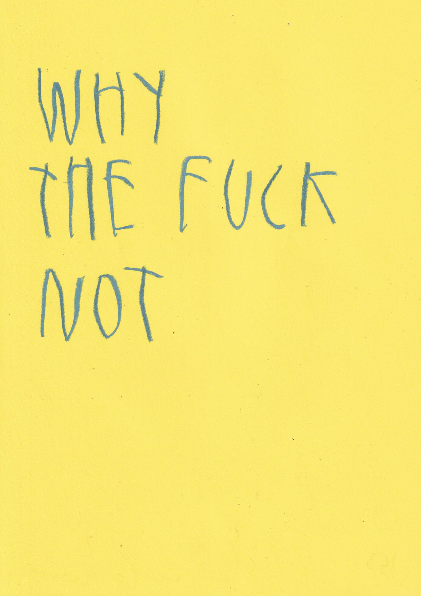 Why The Fuck Not