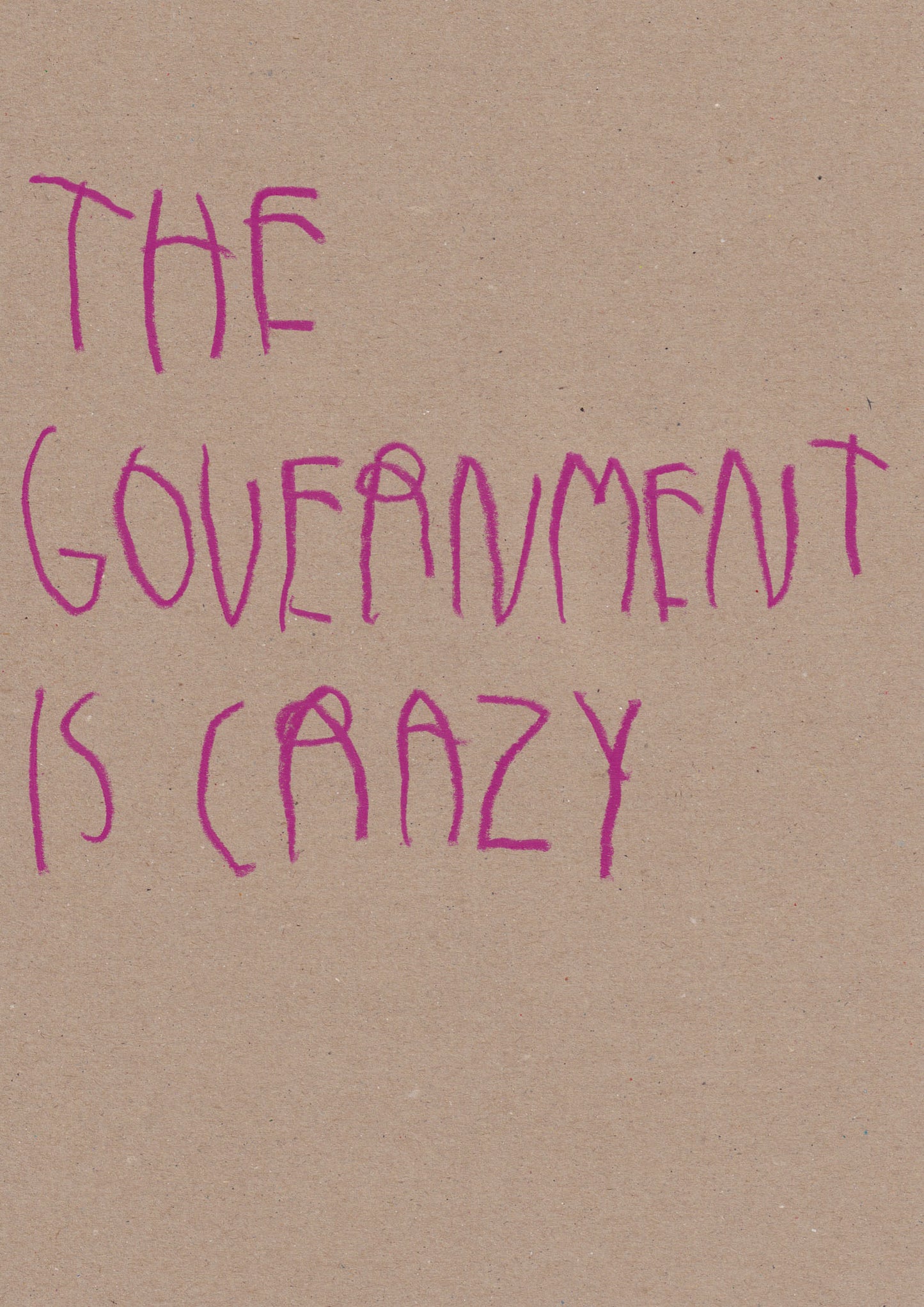 The Government Is Crazy