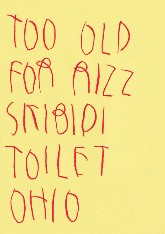 Too Old For Rizz Skibidi Toilet Ohio