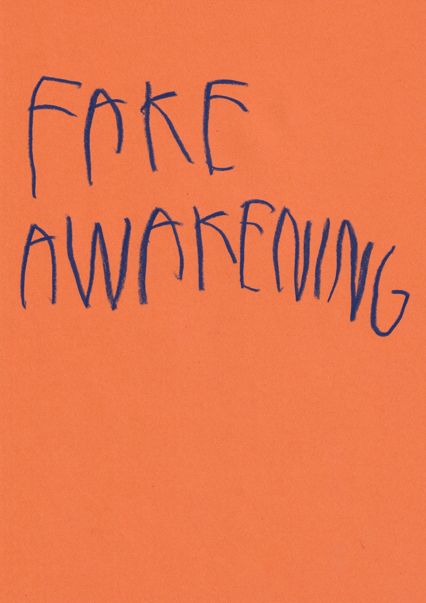 Fake Awakening