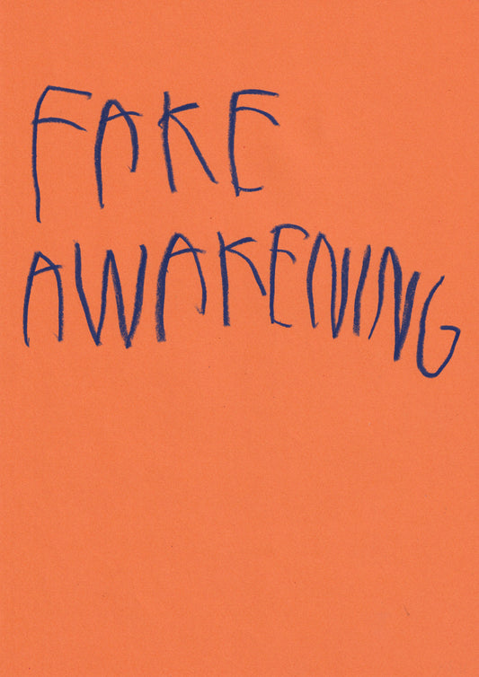Fake Awakening