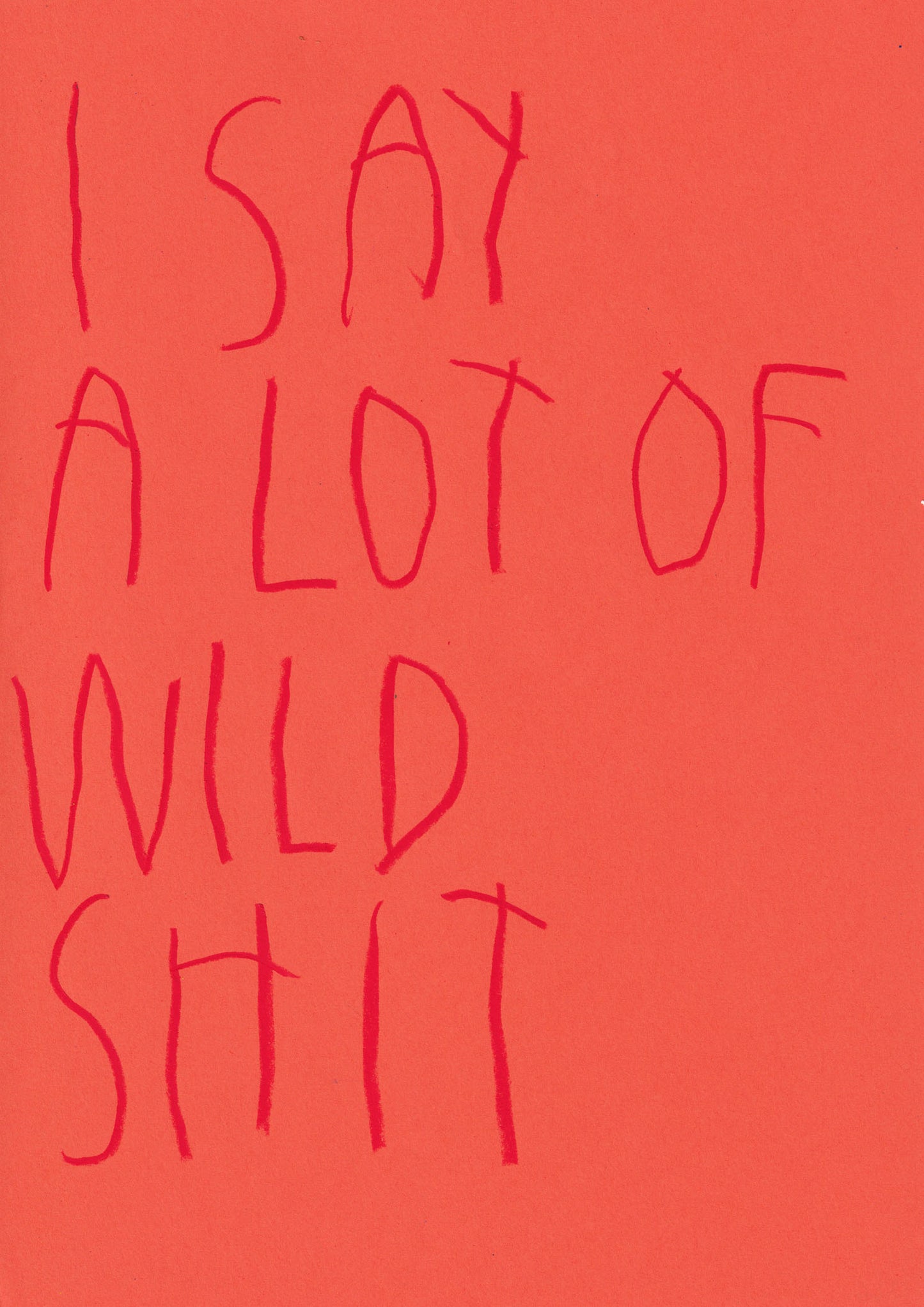 I Say A Lot Of Wild Shit