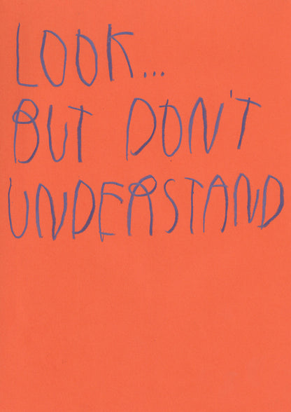 Look, But Don’t Understand