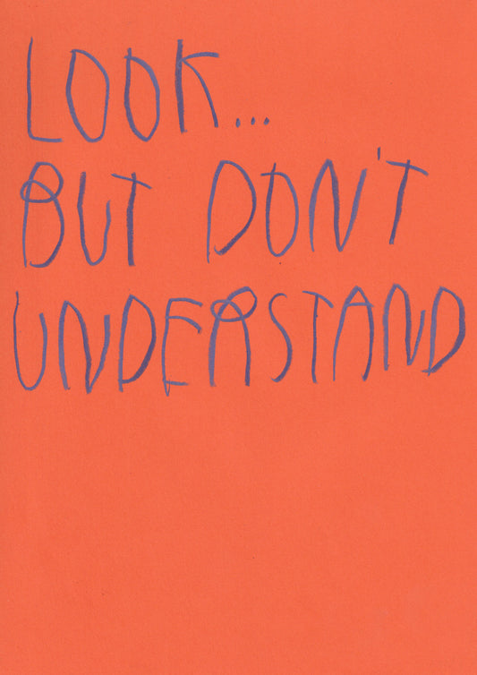 Look, But Don’t Understand