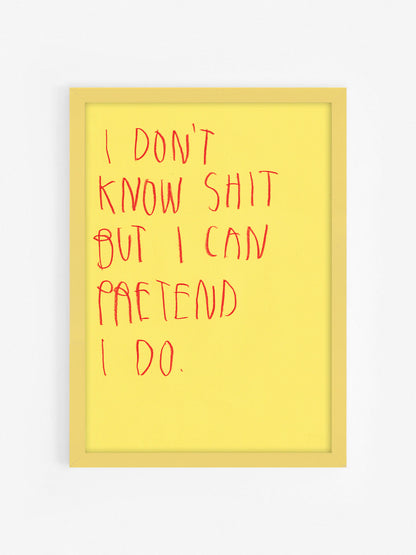 I Don’t Know Shit But I Pretend I Do