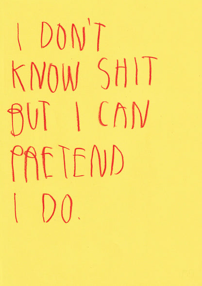 I Don’t Know Shit But I Pretend I Do