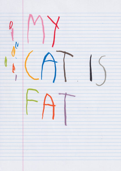 My Cat Is Fat