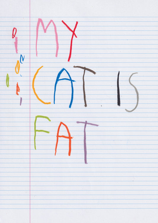 My Cat Is Fat