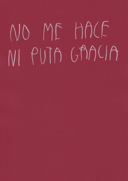 No Me Hace Ni Puta Gracia