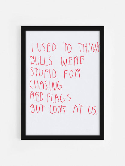 I Used To Think Bulls Were Stupid For Chasing Red