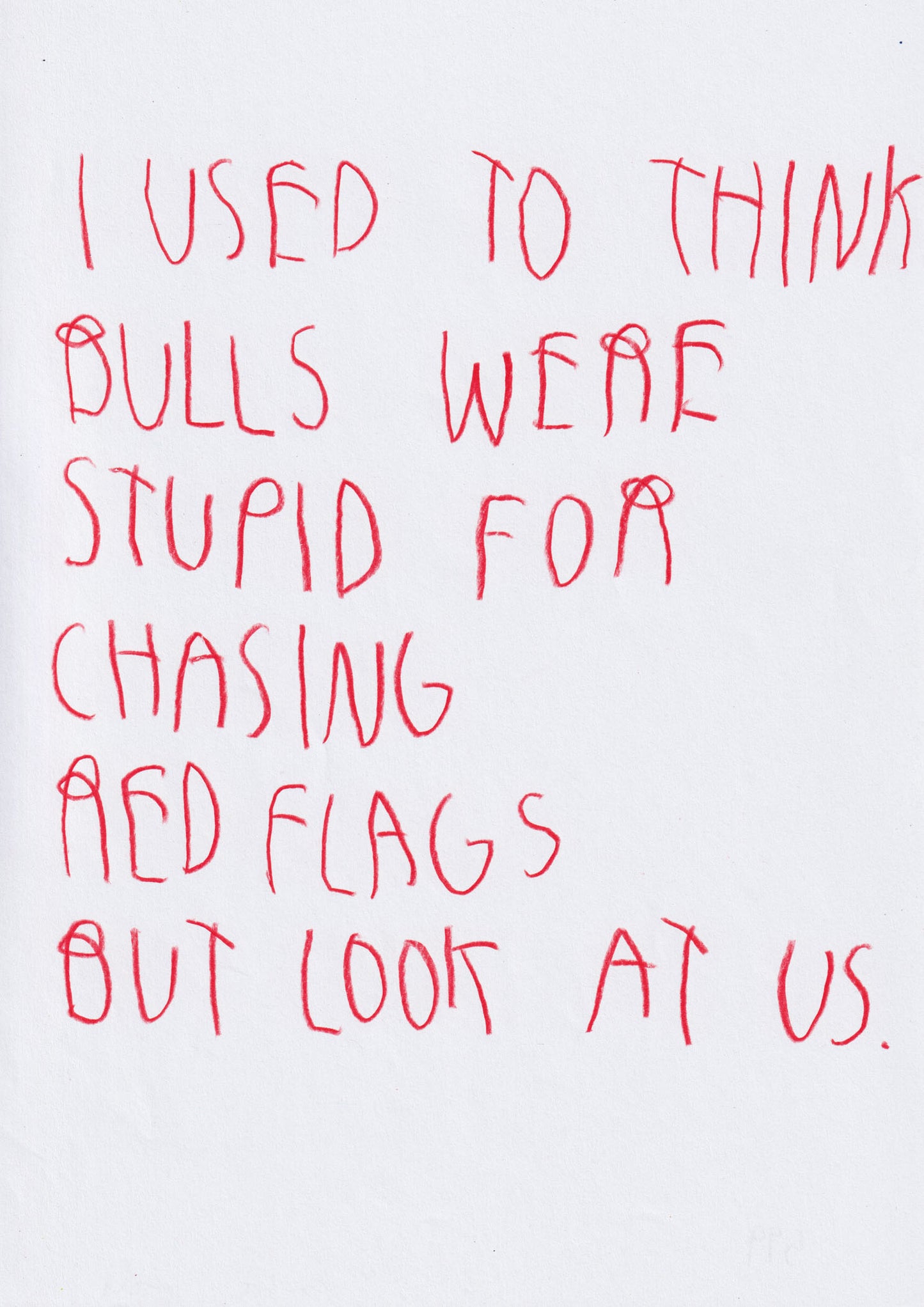 I Used To Think Bulls Were Stupid For Chasing Red