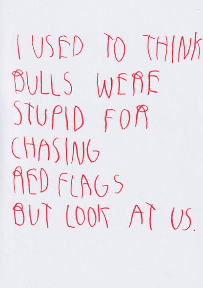 I Used To Think Bulls Were Stupid For Chasing Red