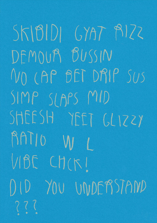 Skibidi Gyat Rizz Demour Bussin No Cap Bet Drip