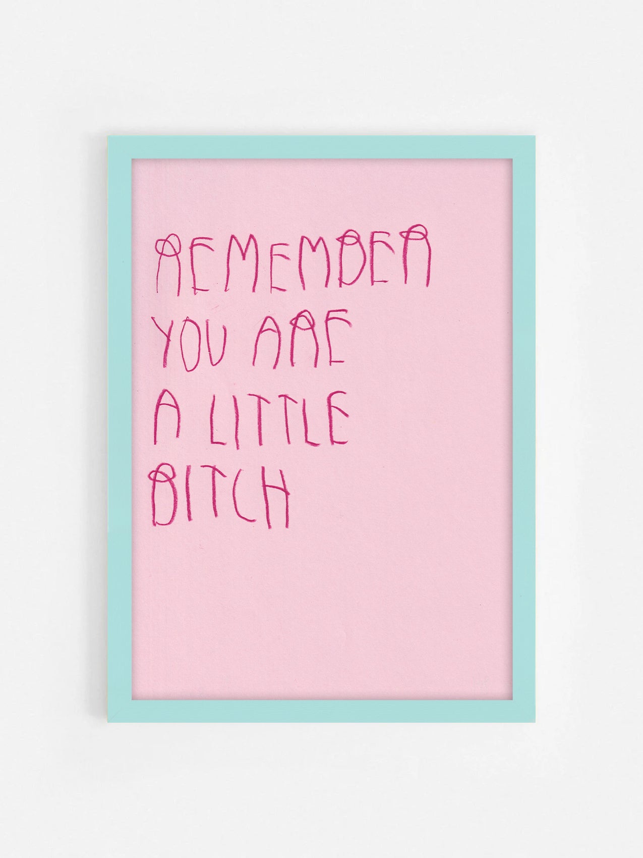 Remember You Are A Little Bitch