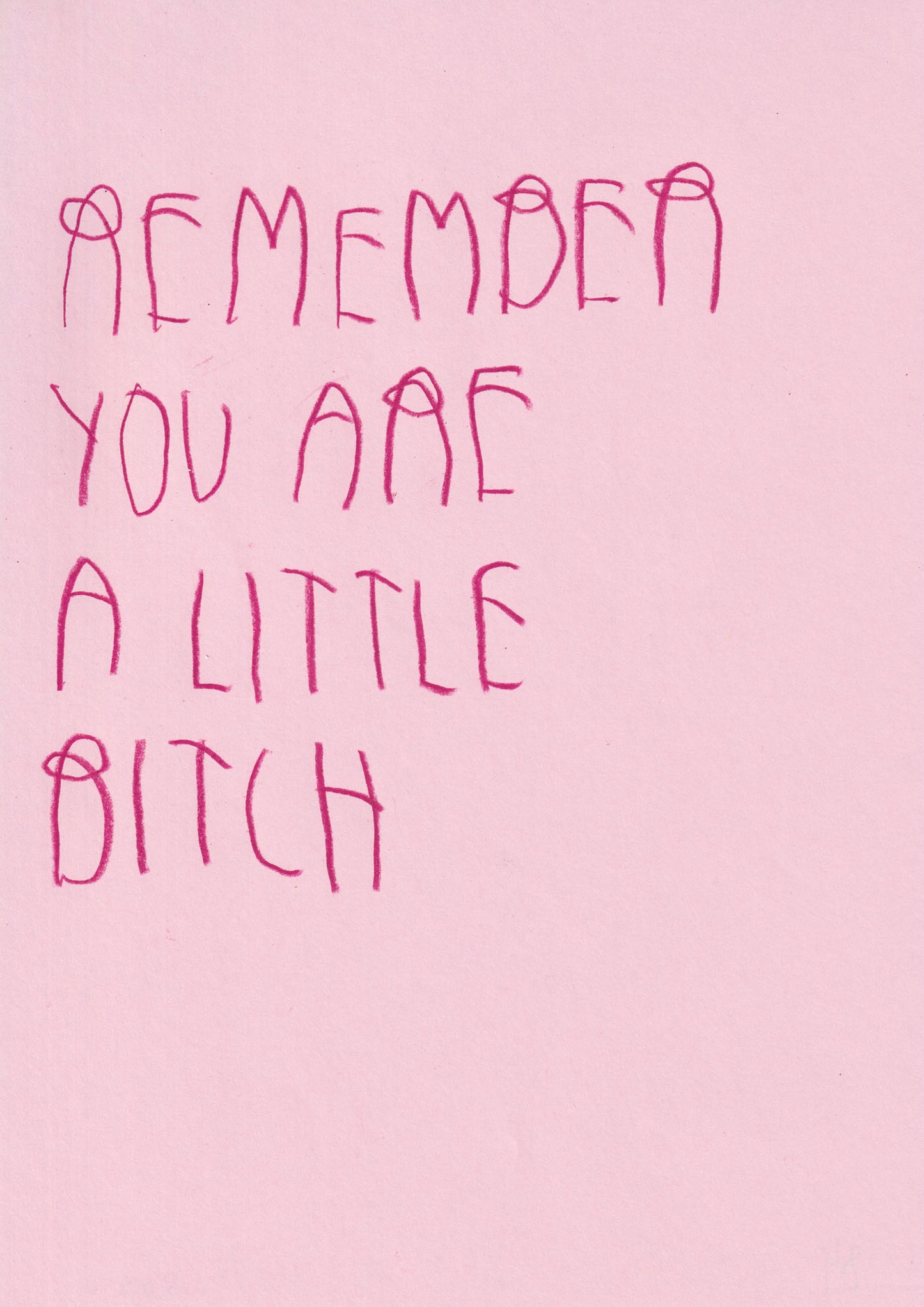 Remember You Are A Little Bitch