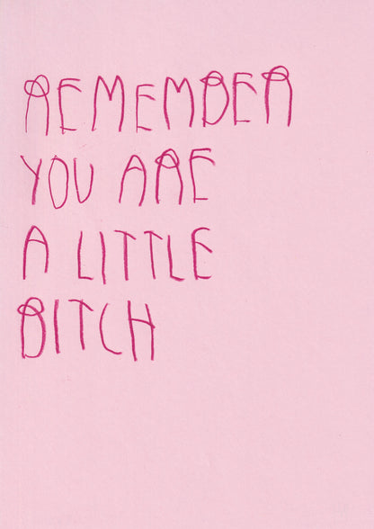 Remember You Are A Little Bitch