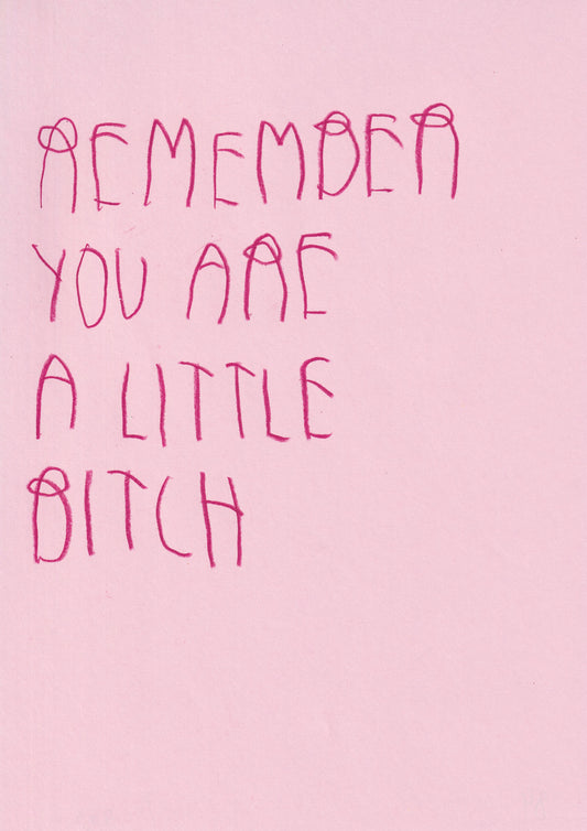 Remember You Are A Little Bitch
