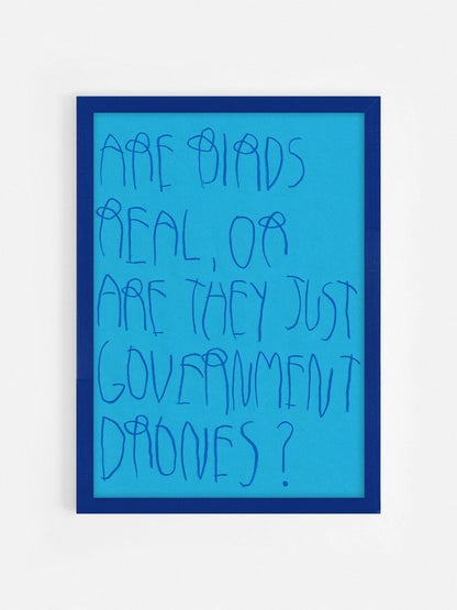 Are Birds Real, Or Are They Just Government