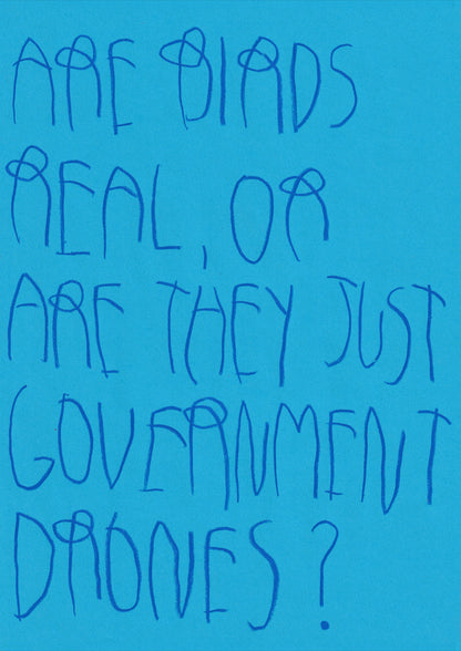Are Birds Real, Or Are They Just Government