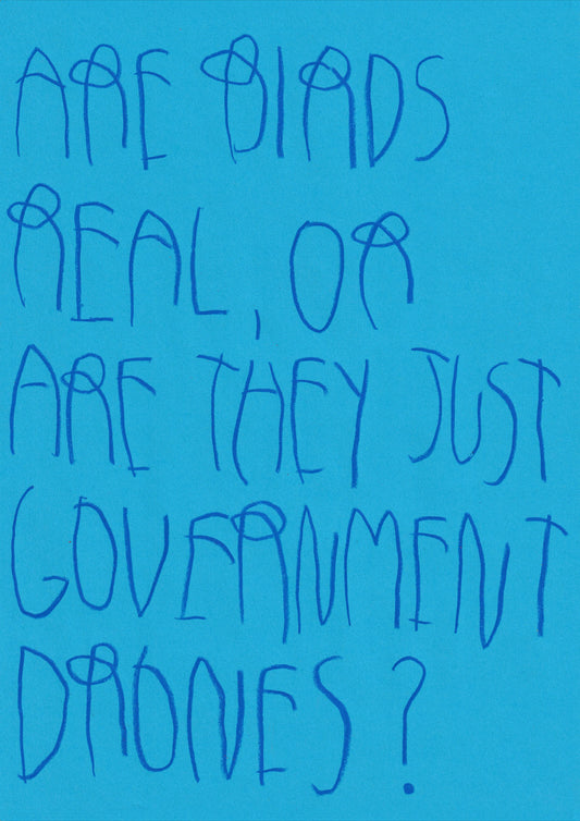 Are Birds Real, Or Are They Just Government