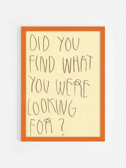Did You Find What You Were Looking For