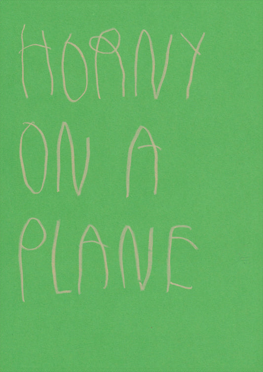 Horny On A Plane